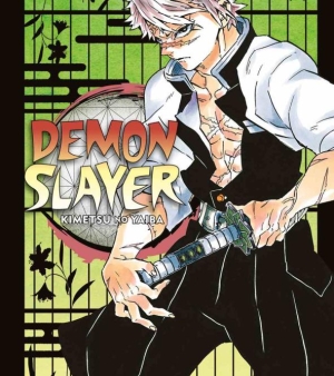 Demon Slayer. Kimetsu No Yaiba. Vol. 17 fronte