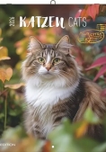 Immagine 0 di Calendario 2026 Cats Cm 30x30