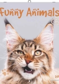 Immagine 0 di Calendario 2026 Funny Animals Cm 30x30