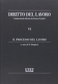 Immagine 0 di Diritto Del Lavoro Vi