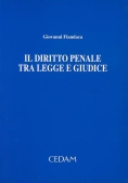 Immagine 0 di Il Diritto Penale Tra Legge E Giudice.