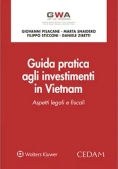 Immagine 0 di Guida Pratica Investimenti In Vietnam