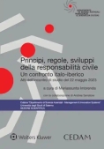 Immagine 0 di Principi Regole Sviluppi Del