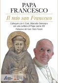 Immagine 0 di Mio San Francesco