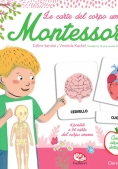 Immagine 0 di Le Carte Del Corpo Umano Montessori N.e.