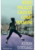 Immagine 0 di Vedo Palazzi Cadere Come Fulmini