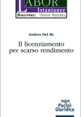 Immagine 0 di Licenziamento Per Scarso Rendimento