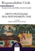 Immagine 0 di Diritto Processuale Responsab.civile
