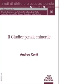 Immagine 0 di Giudice Penale Minorile
