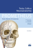 Immagine 0 di Prometheus Vol 3 Atlante Di Anatomia Testa E Collo