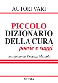 Immagine 0 di Piccolo Dizionario Della Cura