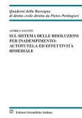 Immagine 0 di Sul Sistema Delle Risoluzioni