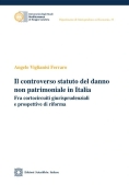 Immagine 0 di Controverso Statuto Danno