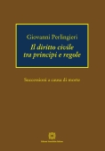 Immagine 0 di Diritto Civile Tra Principi E
