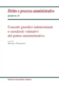 Immagine 0 di Concetti Giuridici Indetermina