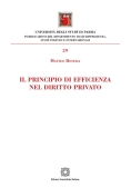 Immagine 0 di Principio Efficienza Diritto P