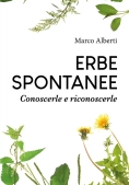 Immagine 0 di Erbe Spontanee