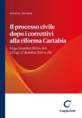 Immagine 0 di Processo Civile Dopo Correttivi Cartabia
