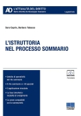 Immagine 0 di Istruttoria Processo Sommario