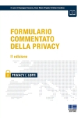 Immagine 0 di Formulario Commentato Della Privacy 2ed