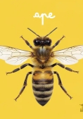 Immagine 0 di Ape