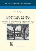 Immagine 0 di Amici Curiae Giudizio Incidentale Leggi