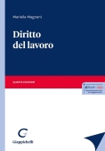 Immagine 0 di Diritto Del Lavoro 4ed.