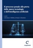 Immagine 0 di Processo Penale Alla Prova Nuove Tecnolo