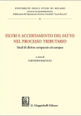 Immagine 0 di Filtri E Accertamento Fatto Proc.tribut.