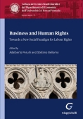 Immagine 0 di Business And Human Rights