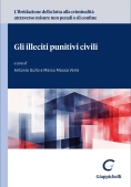 Immagine 0 di Illeciti Punitivi Civili