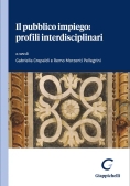 Immagine 0 di Pubblico Impiego Profili Interdiscipl.