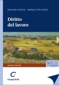 Immagine 0 di Diritto Del Lavoro 2ed.