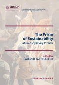 Immagine 0 di The Prism Of Sustainabiliy