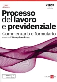 Immagine 0 di Processo Del Lavoro E Previdenziale