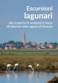 Immagine 0 di Escursioni Lagunari