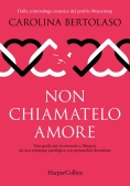 Immagine 0 di Non Chiamatelo Amore