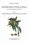 Immagine 0 di Pomona Italiana - Albicocchi