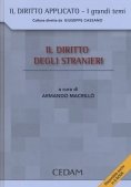 Immagine 0 di Diritto Degli Stranieri