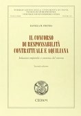 Immagine 0 di Concorso Di Responsabilita'