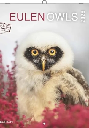 Calendario 2026 Owls Cm 30x30 fronte
