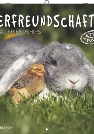 Calendario 2026 Animal Friendship Cm 30x30 fronte