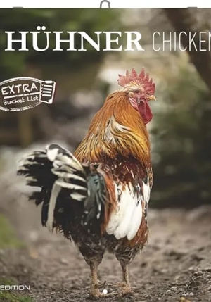 Calendario 2026 Chickens Cm 30x30 fronte