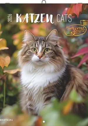 Calendario 2026 Cats Cm 30x30 fronte