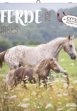 Calendario 2026 Horses Cm 30x30 fronte