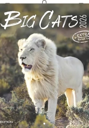 Calendario 2026 Big Cats Cm 30x30 fronte