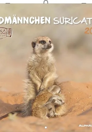 Calendario 2026 Suricates Cm 30x30 fronte