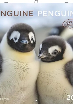 Calendario 2026 Pinguins Cm 30x30 fronte