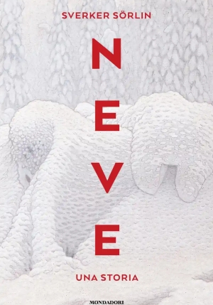 Neve fronte