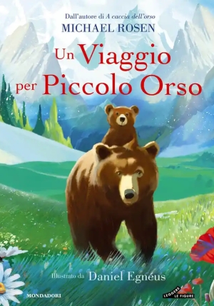 Un Viaggio Per Piccolo Orso fronte